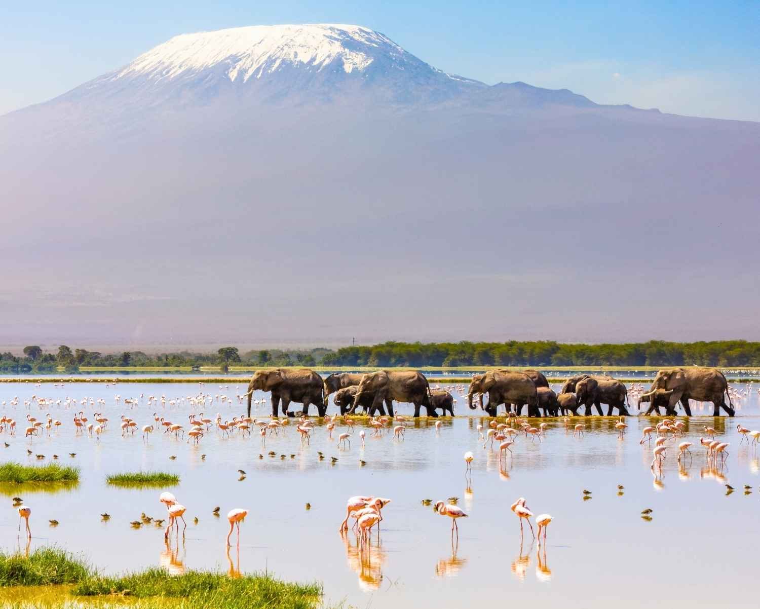 Geheimnis Kilimandscharo: Ihr ultimativer Guide zur Besteigung des höchsten Berges Afrikas